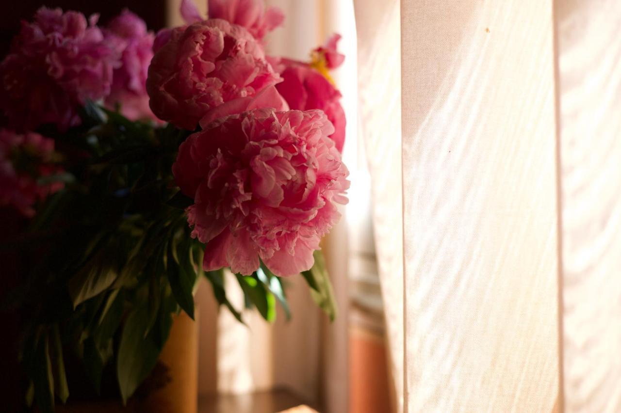 La Bellonette マルセイヤン エクステリア 写真